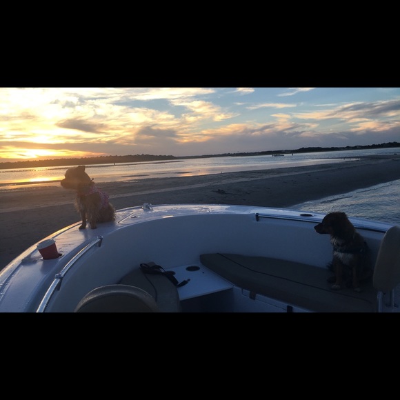 Meet your Posher, Joanne - Picture 3 of 8